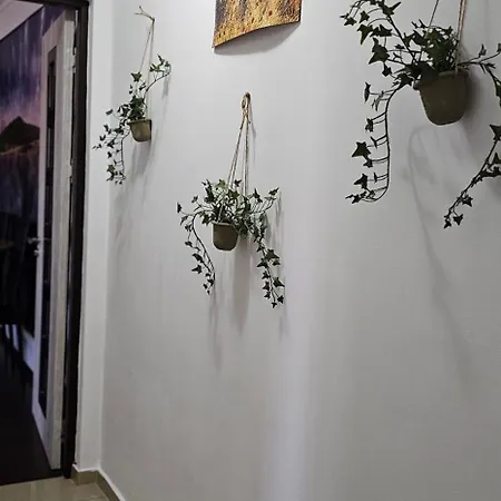 Apartament Dorian